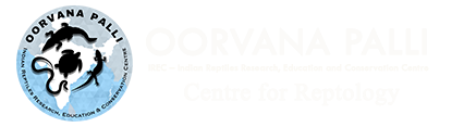 Footer Logo