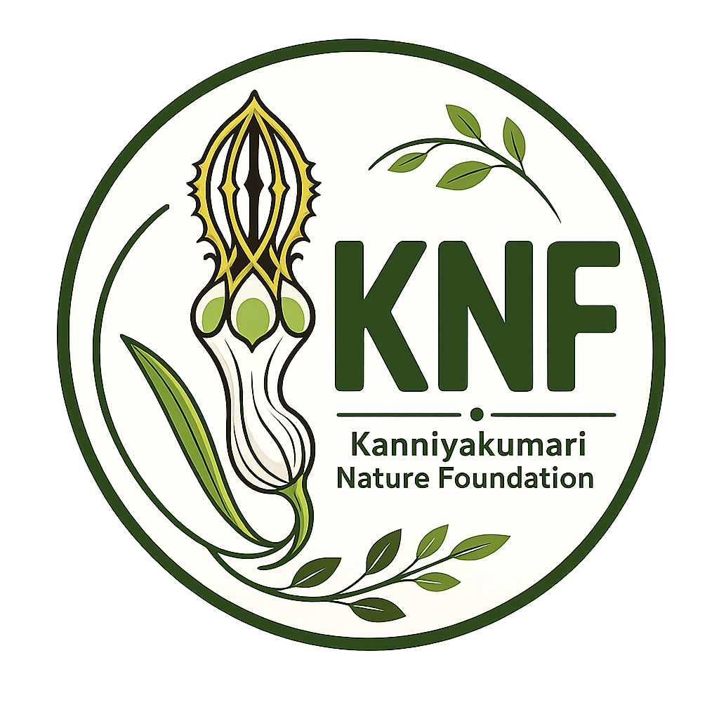 knf new logo