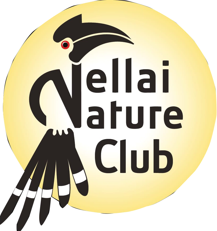 nnc logo